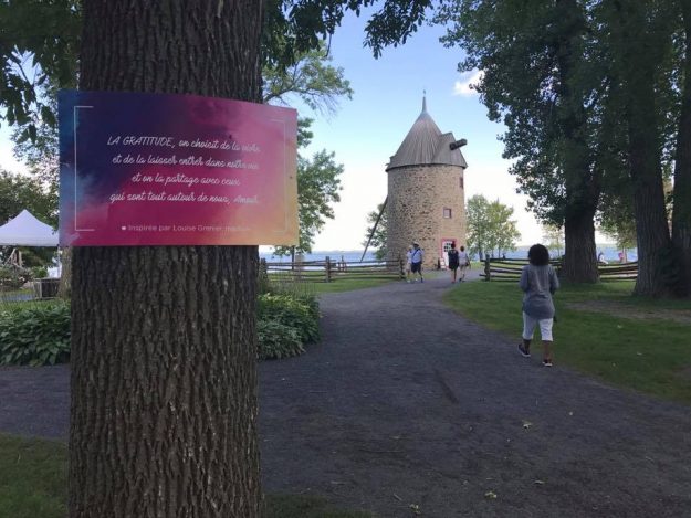 Bulle la gratitude viva fest