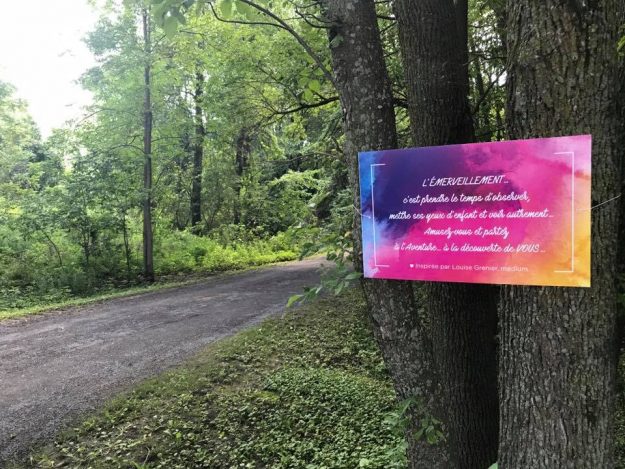 bulle émerveillement viva fest